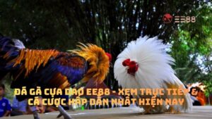 Đá Gà Cựa Dao EE88 - Xem Trực Tiếp & Cá Cược Hấp Dẫn Nhất Hiện Nay