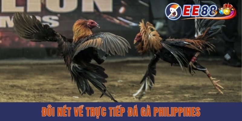 Giới thiệu về trực tiếp Đá Gà Philippines