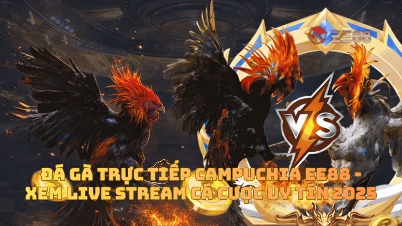 Đá Gà Trực Tiếp Campuchia EE88 - Xem Live Stream Cá Cược Uy Tín 2025